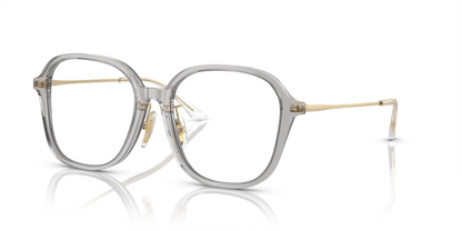 Transparent Grey - 0VO5467D 8056597935418