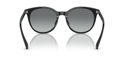 Black - 0VO5468SD 8056597697002