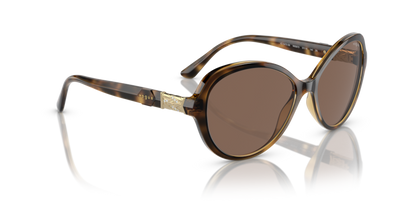 Dark Havana - 0VO5475SB 8056597815086