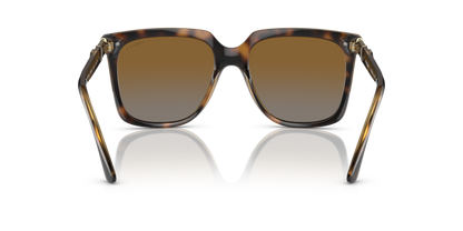 Dark Havana - 0VO5476SB 8056597815024