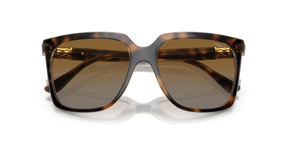 Dark Havana - 0VO5476SB 8056597815024