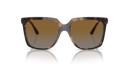 Dark Havana - 0VO5476SB 8056597815024