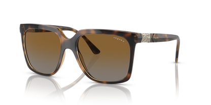 Dark Havana - 0VO5476SB 8056597815024