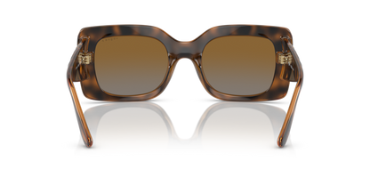 Top Havana/Brown - 0VO5481S 8056597813891