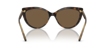 Dark Havana - 0VO5484S 8056597813631