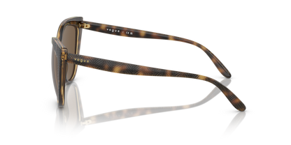 Dark Havana - 0VO5484S 8056597813631