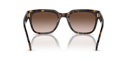 Dark Havana - 0VO5490S 8056597816182