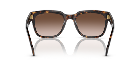 Dark Havana - 0VO5490S 8056597816182