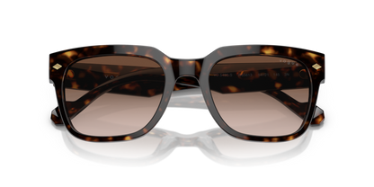 Dark Havana - 0VO5490S 8056597816182