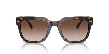 Dark Havana - 0VO5490S 8056597816182