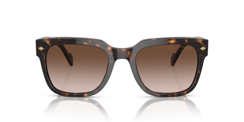 Dark Havana - 0VO5490S 8056597816182