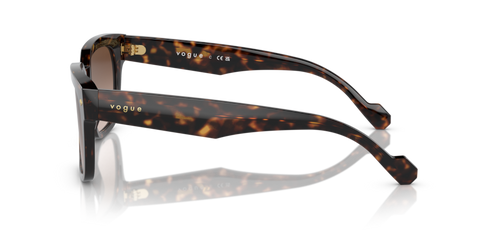 Dark Havana - 0VO5490S 8056597816182