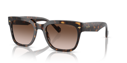 Dark Havana - 0VO5490S 8056597816182