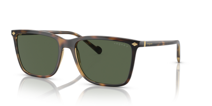 Total Dark Havana - 0VO5493S 8056597817141