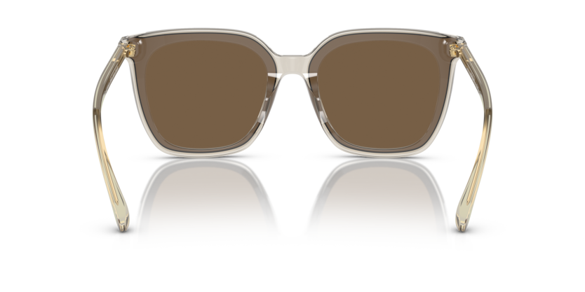 Transparent Brown - 0VO5499SD 8056597806237