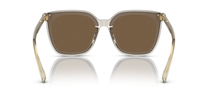 Transparent Brown - 0VO5499SD 8056597806237