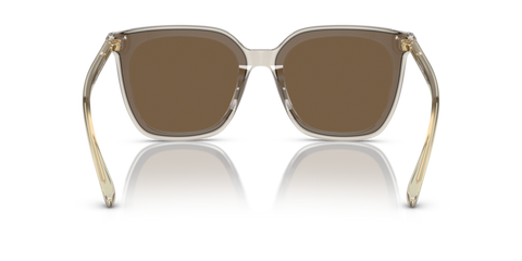Transparent Brown - 0VO5499SD 8056597806237