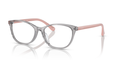 Transparent Grey - 0VO5502D 8056597806015