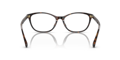 Dark Havana - 0VO5502D 8056597806039