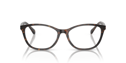 Dark Havana - 0VO5502D 8056597806039