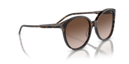 Dark Havana - 0VO5509S 8056597820523