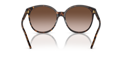 Dark Havana - 0VO5509S 8056597820523