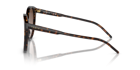 Dark Havana - 0VO5509S 8056597820523