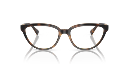 Dark Havana - 0VO5517B 8056597931151