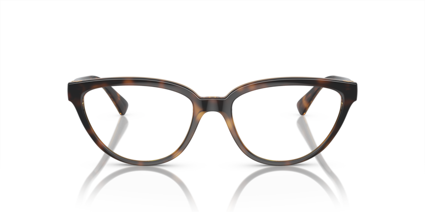 Dark Havana - 0VO5517B 8056597931151