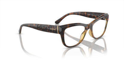 Dark Havana - 0VO5528 8056597927413