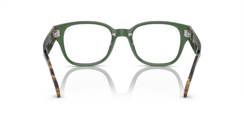 Full Dusty Green - 0VO5529 8056597931243