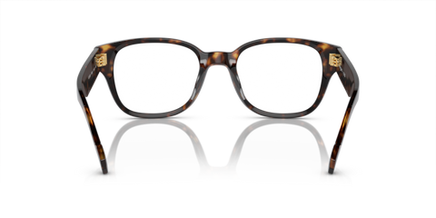 Dark Havana - 0VO5529 8056597931298
