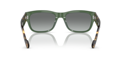 Full Dusty Green - 0VO5530S 8056597933179