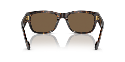 Dark Havana - 0VO5530S 8056597933193