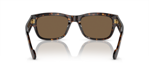 Dark Havana - 0VO5530S 8056597933193