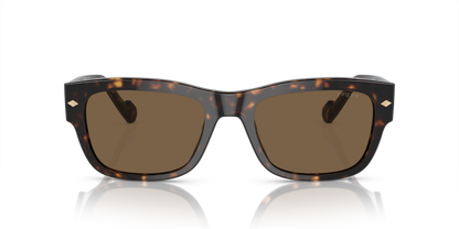 Dark Havana - 0VO5530S 8056597933193