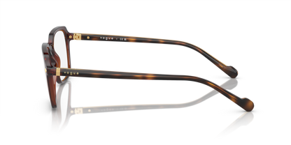 Transparent Dark Brown - 0VO5532 8056597931465