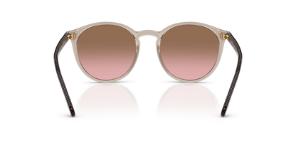 0VO5544SM Transparent Caramel rear view image 3 barcode 8056262885673