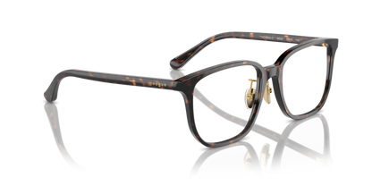 Dark Havana - 0VO5550D 8056262000250