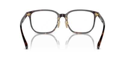 Dark Havana - 0VO5550D 8056262000250