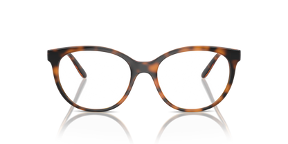 Dark Havana - 0VO5552 8056262003633