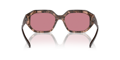 Rose Tortoise - 0VO5554S 8056262011317