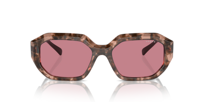 Rose Tortoise - 0VO5554S 8056262011317