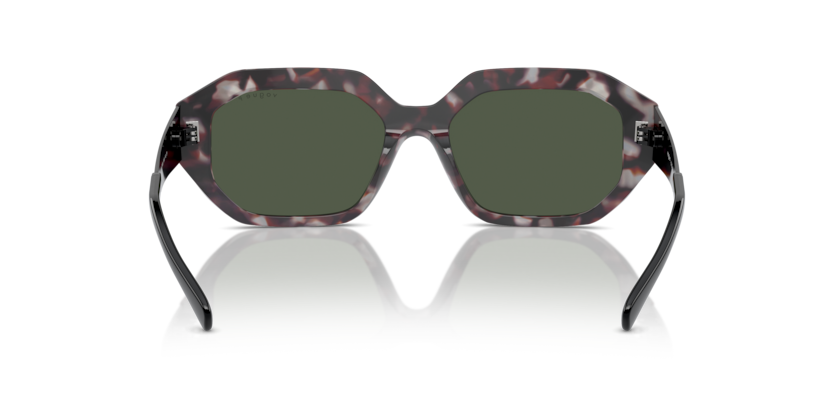 Grey Tortoise - 0VO5554S 8056262011331