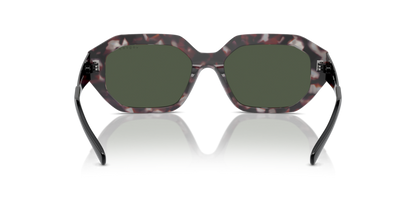 Grey Tortoise - 0VO5554S 8056262011331