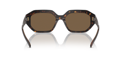 Dark Havana - 0VO5554S 8056262011300