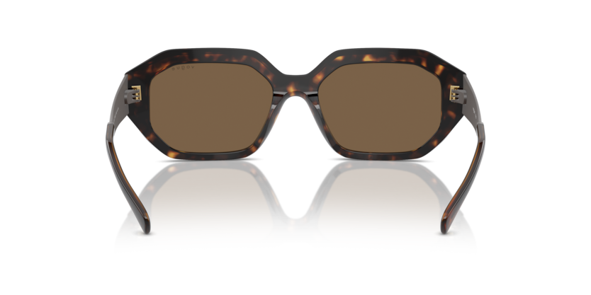 Dark Havana - 0VO5554S 8056262011300