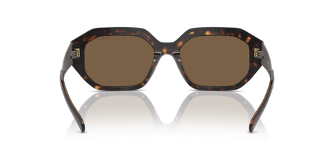Dark Havana - 0VO5554S 8056262011300