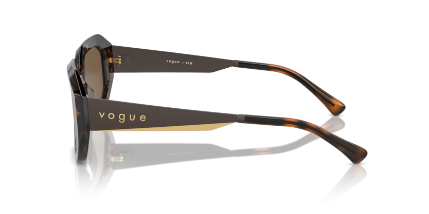 Dark Havana - 0VO5554S 8056262011300