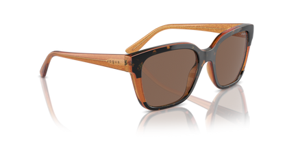 Havana/Transparent Brown Glitter - 0VO5558S 8056262012154